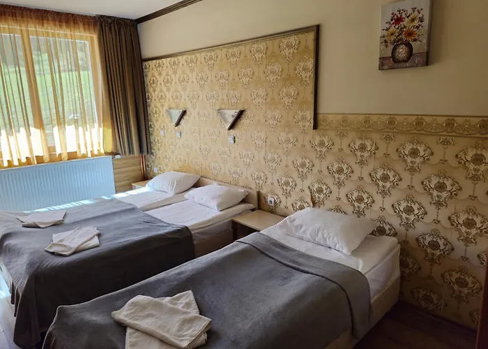 форест нук Пампорово